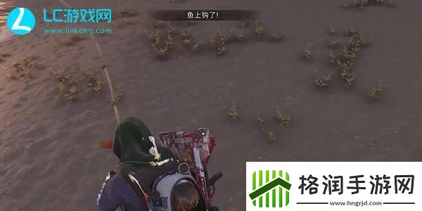 七日世界电鳗获得地点