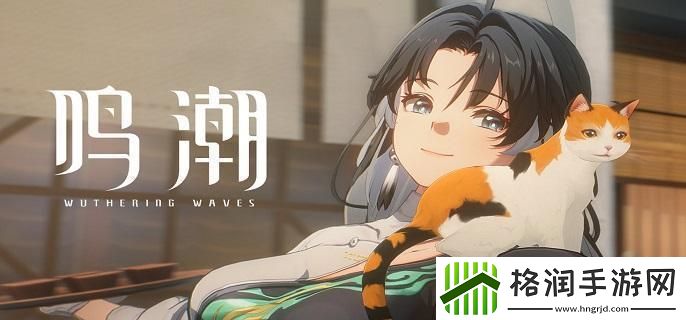 鸣潮调谐器怎么刷