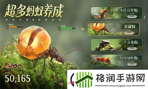 蚁族崛起神树之战礼包码最新2023