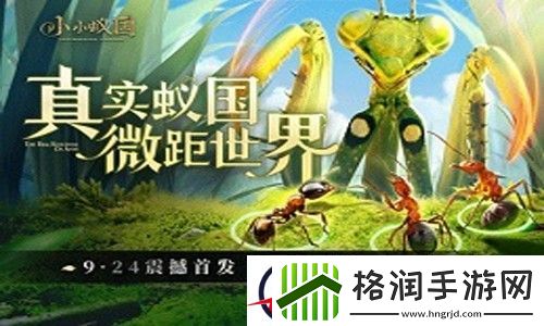 蚁族崛起神树之战最强阵容推荐