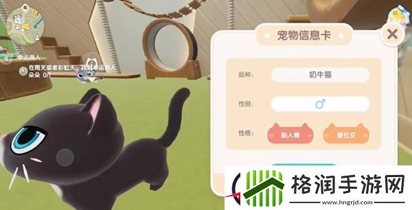 心动小镇养猫攻略