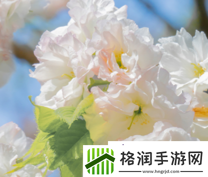 506寝室的灯灭了以后第三部