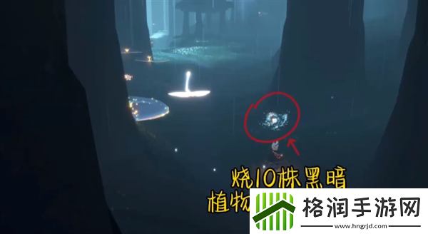 光遇每日任务怎么做2024.7.26