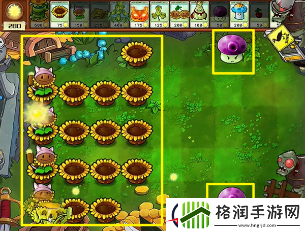 植物大战僵尸杂交版汉堡王3通关攻略