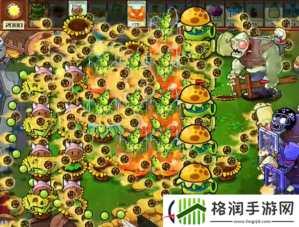 植物大战僵尸杂交版汉堡王3通关攻略