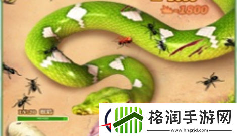 小小蚁国阵容推荐新版