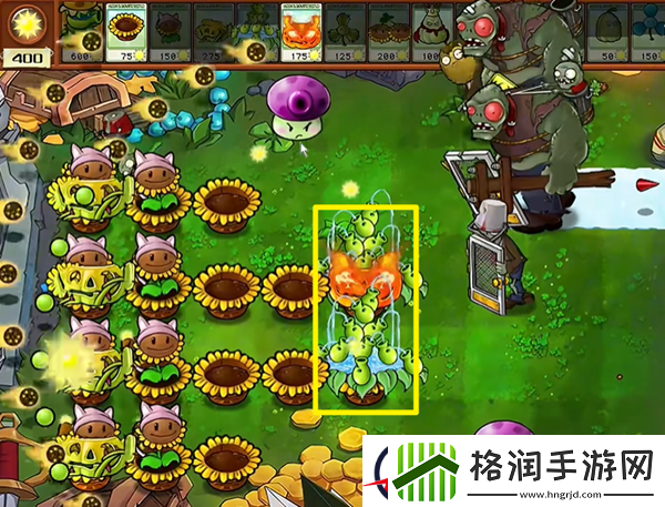 植物大战僵尸杂交版汉堡王3通关攻略