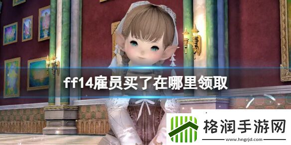 ff14雇员在哪领取
