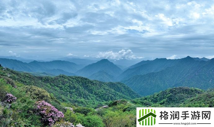 蜜丝婷大草莓和小草莓对比