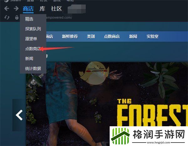 steam怎么看点数记录