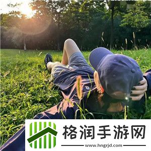 以灵猫传如何分配养猫卡