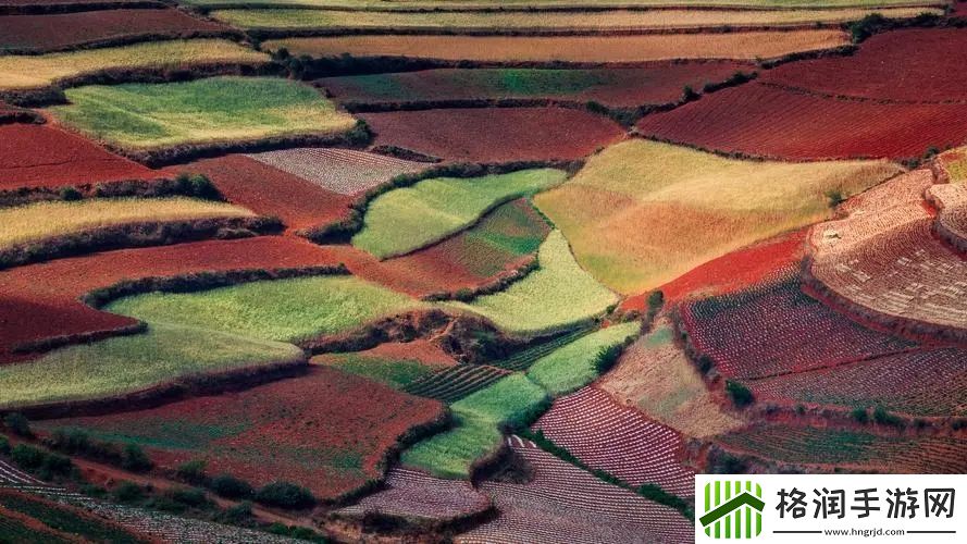 胡桃大战史莱姆wallpaper