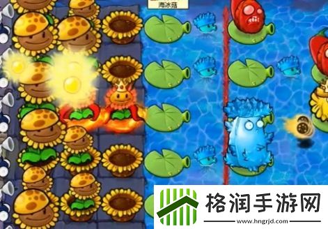 植物大战僵尸杂交版冒险模式第66关怎么样