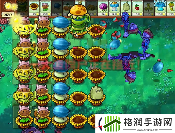植物大战僵尸杂交版汉堡王1通关攻略