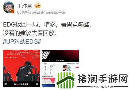 王玮晨评EDGvsUP次局