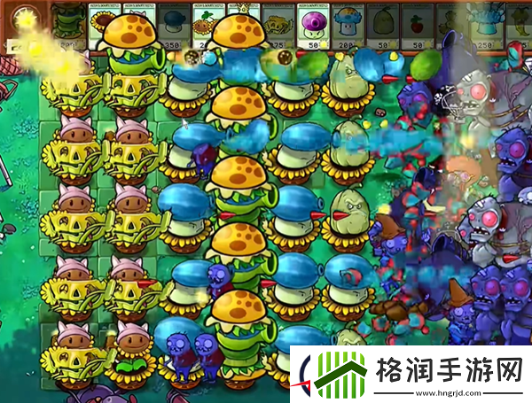 植物大战僵尸杂交版汉堡王1通关攻略