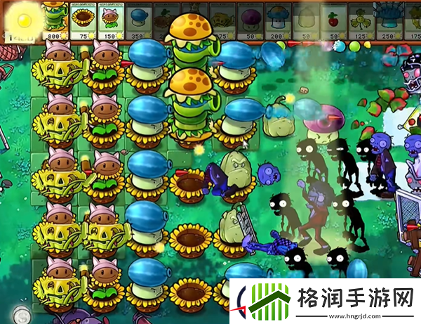 植物大战僵尸杂交版汉堡王1通关攻略