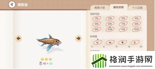 心动小镇手游银鲛鱼怎么钓