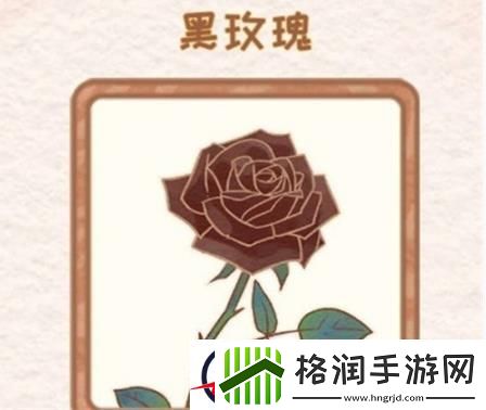 花店物语黑玫瑰怎么解锁