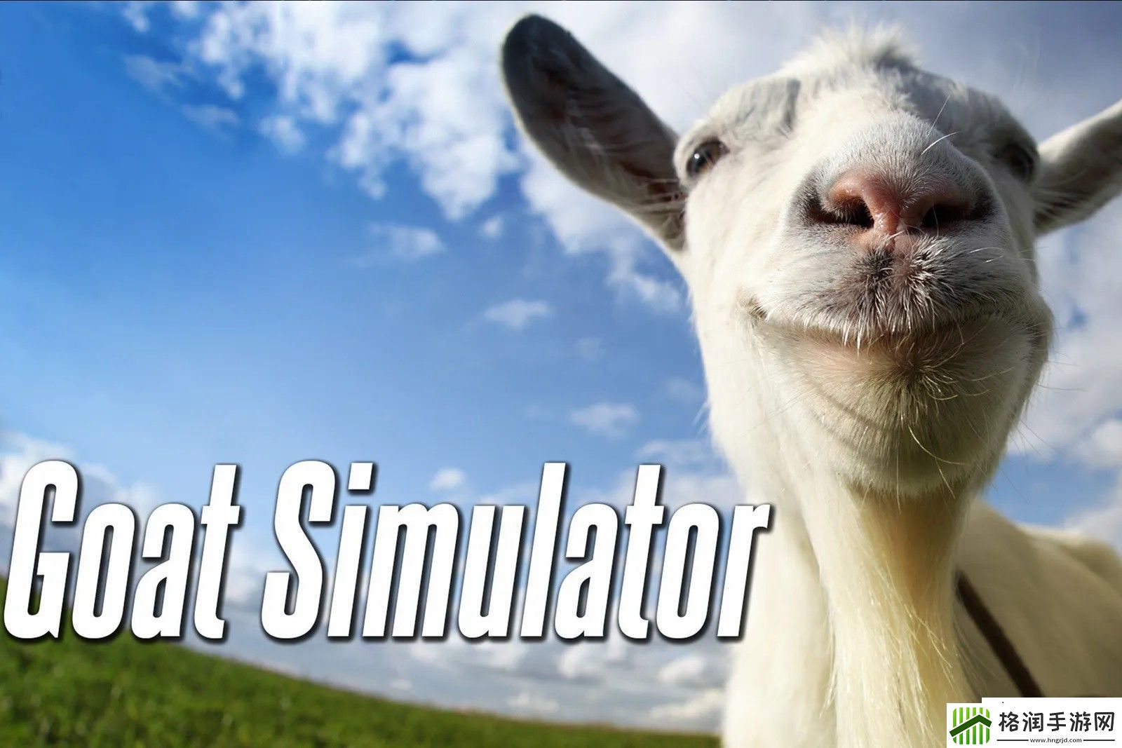 模拟山羊