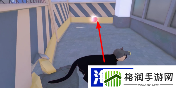 小猫咪大城市蜜柑帽收集方法装备属性