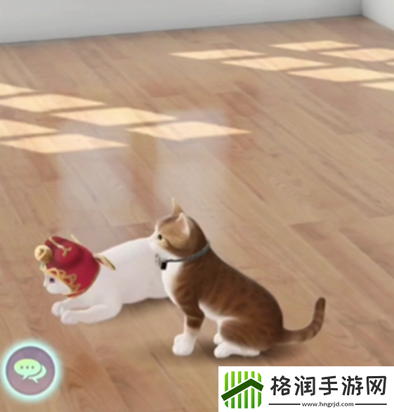 超喵星计划怎么给猫咪进阶