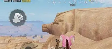 和平精英网红猪石头位置