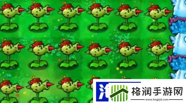 双发仙人掌介绍副本奖励