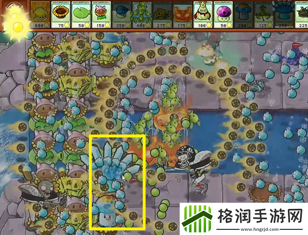 植物大战僵尸杂交版黄油忧郁菇3怎么过