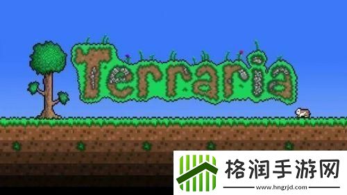 泰拉瑞亚控制台怎么开