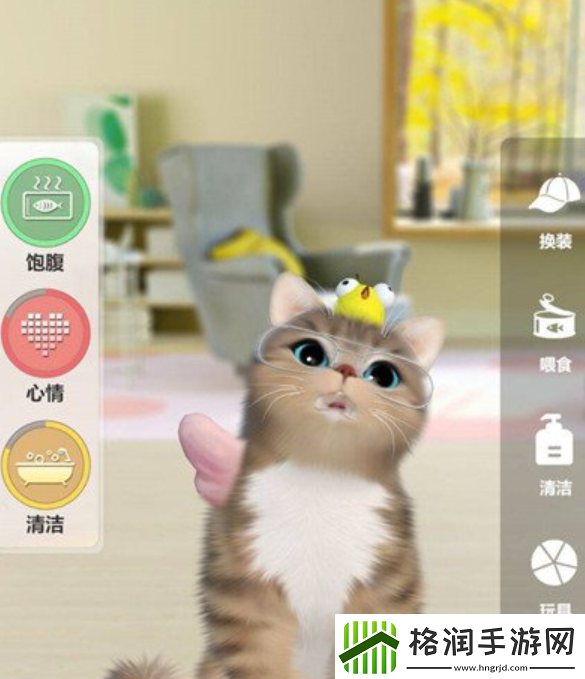 超喵星计划怎么给猫咪进阶