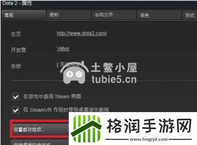 DOTA2国服启动项设置代码是什么