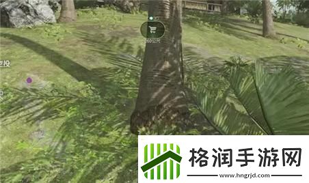 假日岛游戏全攻略