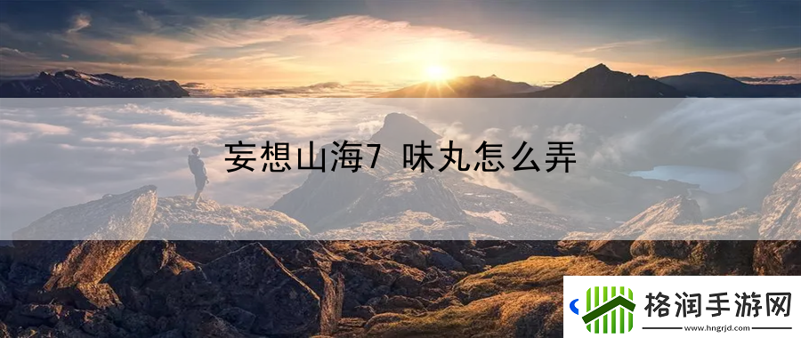 妄想山海7味丸怎么弄