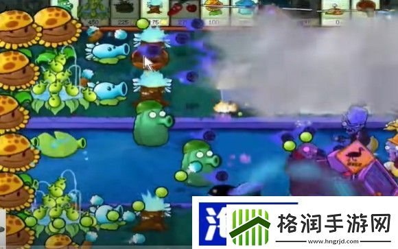 6号路灯花介绍魔法争霸赛魔法之战