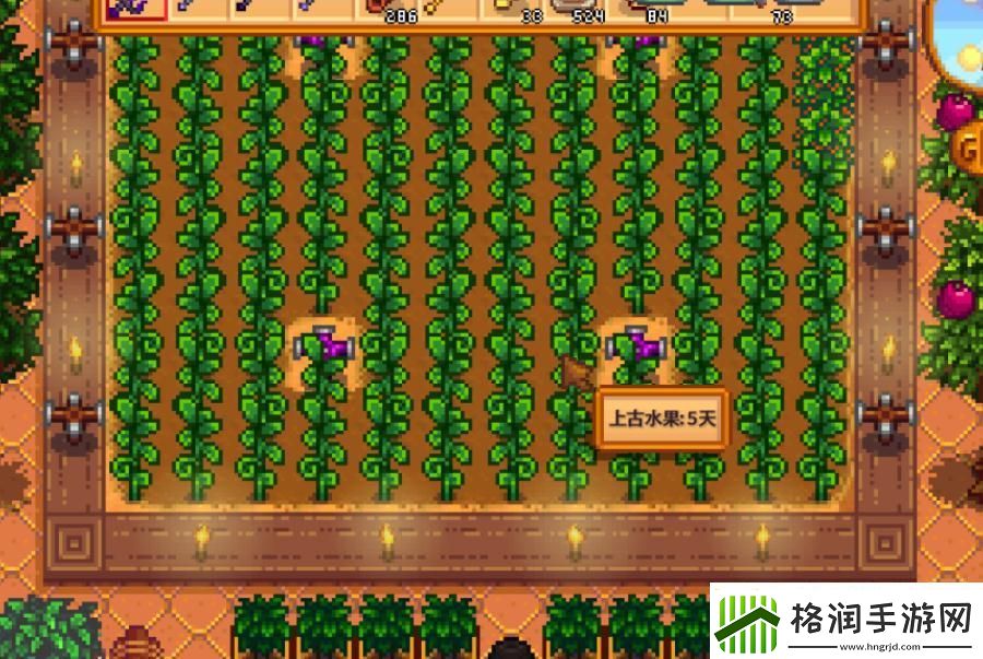 【星露谷物语攻略】星露谷物语女巫沼泽游戏达人秘典集