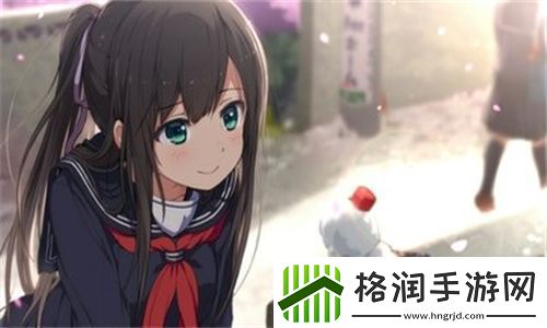 优质jy收集系统苏沫沫