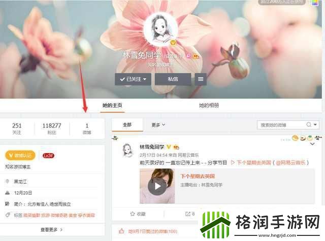 炉石雪兔哪里去了