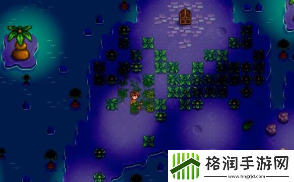 星露谷物语女巫小屋位置在哪里