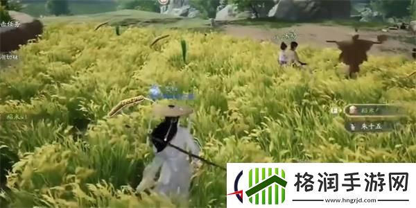 射雕黄金稻收集攻略