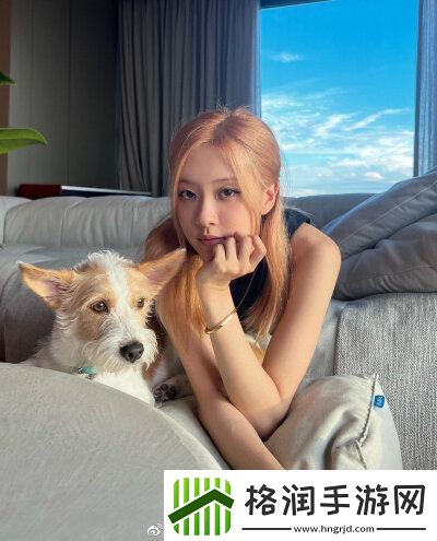 iphone14欧美日韩版本视频解析透彻