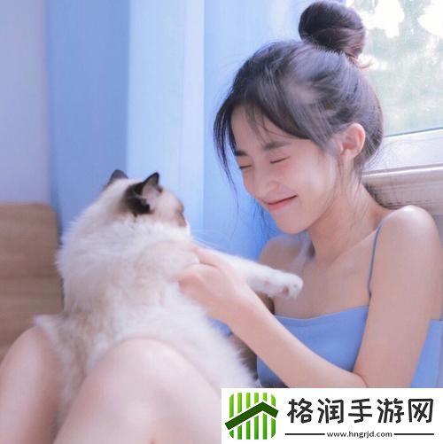 三年片在线观看免费大全哔哩哔哩