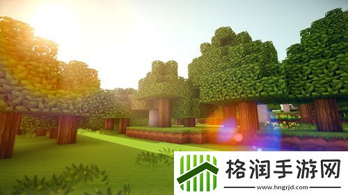 我的世界怎么传送坐标