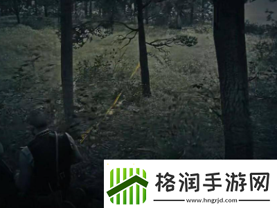 荒野大镖客2山狮是如何玩