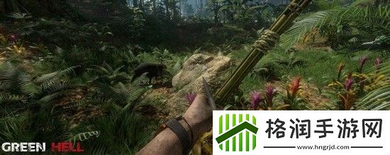 绿色地狱鱼鳞有什么用