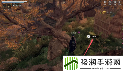 下一站江湖2金蟾功怎么获得