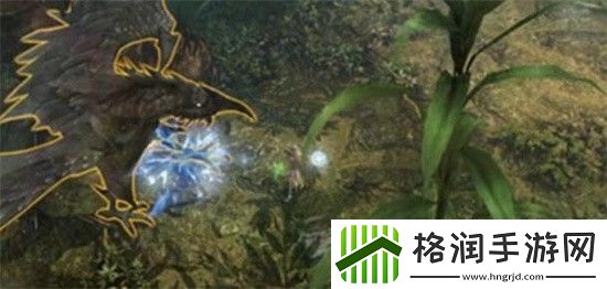 命运方舟丰富符文怎么获得