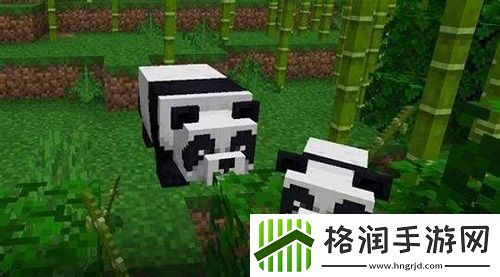 我的世界熊猫有什么用