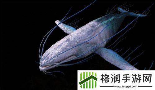 妄想山海万年鲲怎么进化