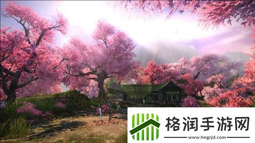 九阴真经桃花阵玩法